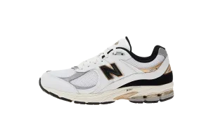 designer running shoes running in obstacle races shoes 2002R GS "White Black Gold"