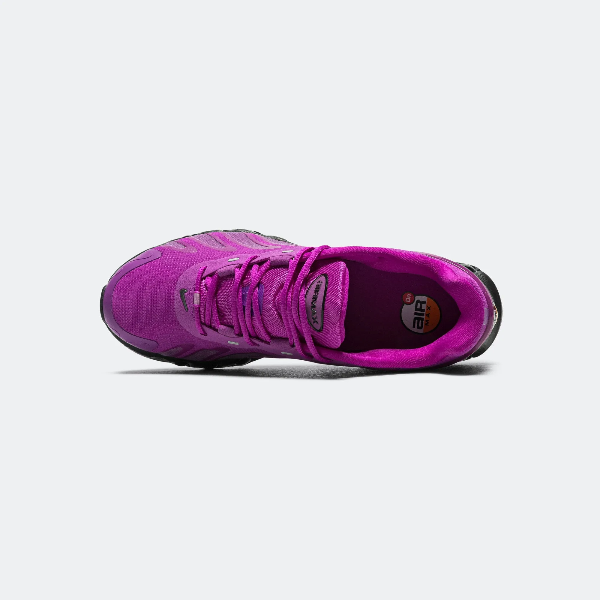 Air Max DN8 - Vivid Purple/Black Neutral Top