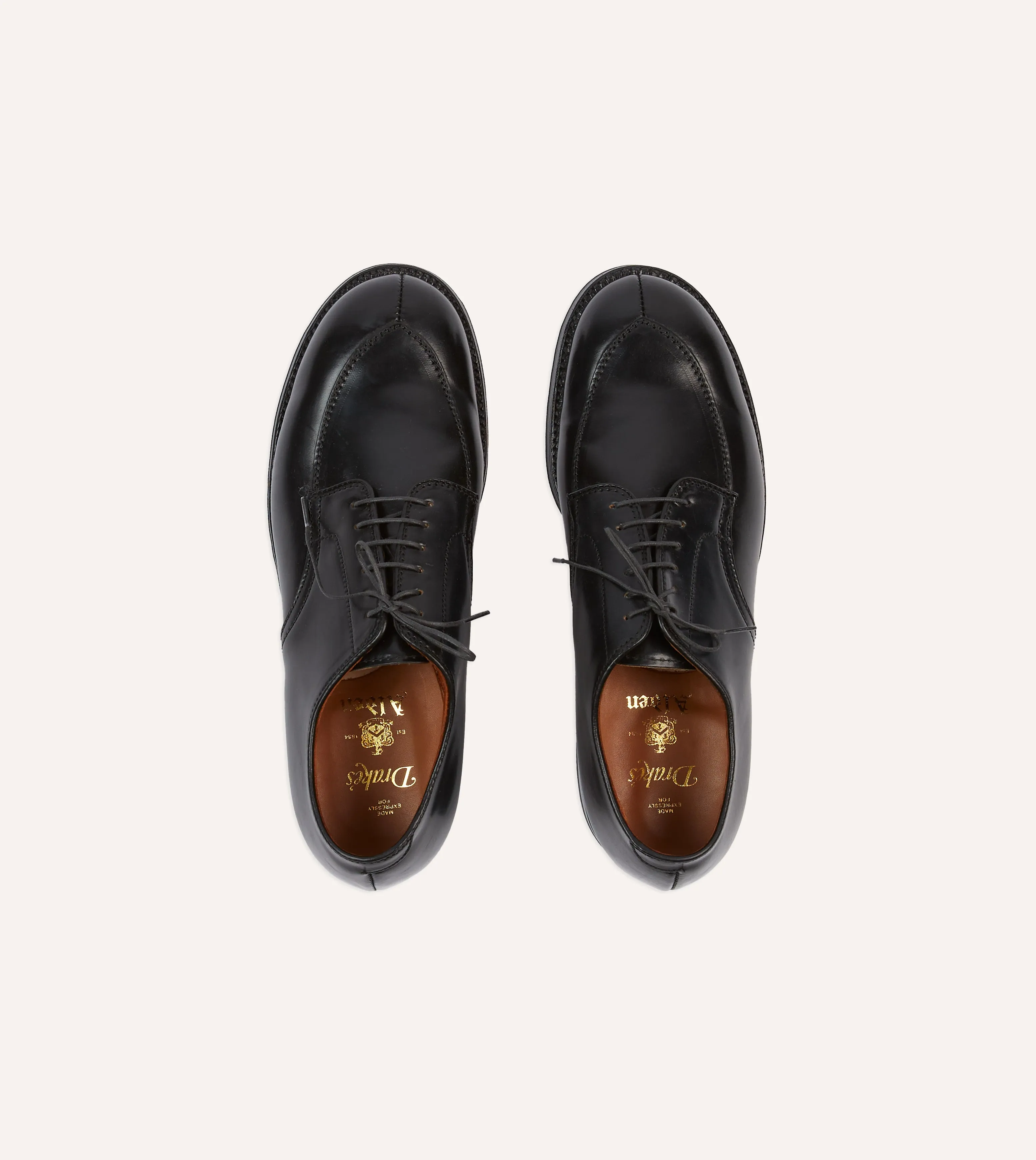 Alden Black Cordovan Algonquin Blucher City Mode Euro Fit
