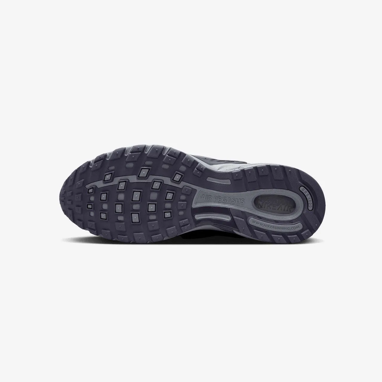 Abrasion Guard Contoured Footbed Support Air Pegasus Wave