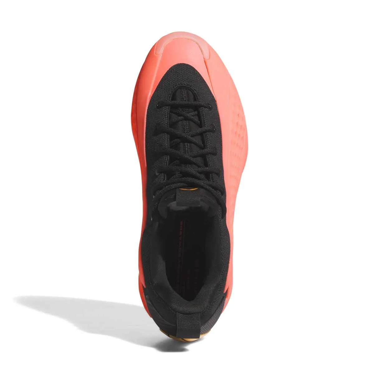 Shock Resistant Anthony Edwards 1 Low 'Ascent Mural'