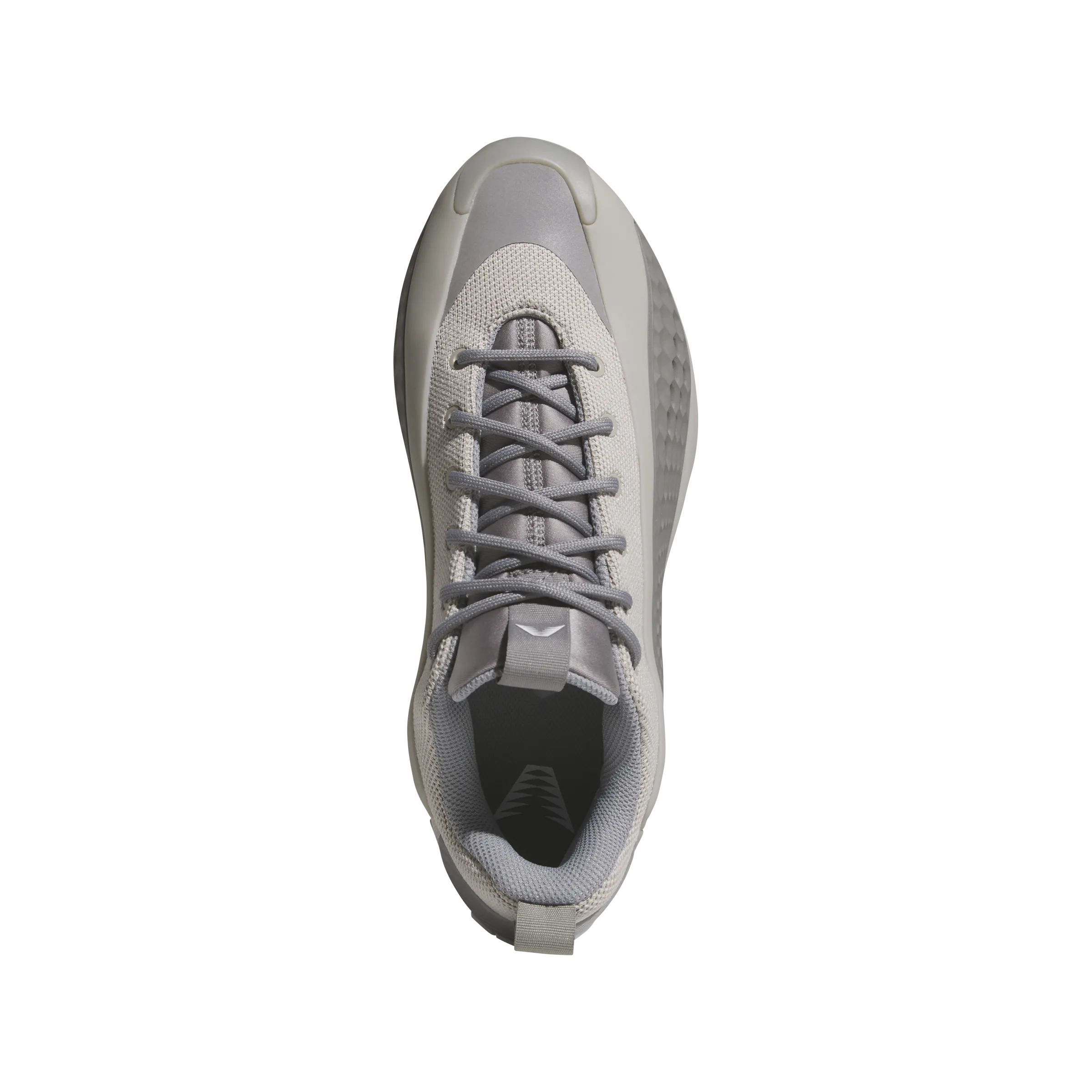   Anthony Edwards AE1 Low 'Metallic Grey' Modern Bold