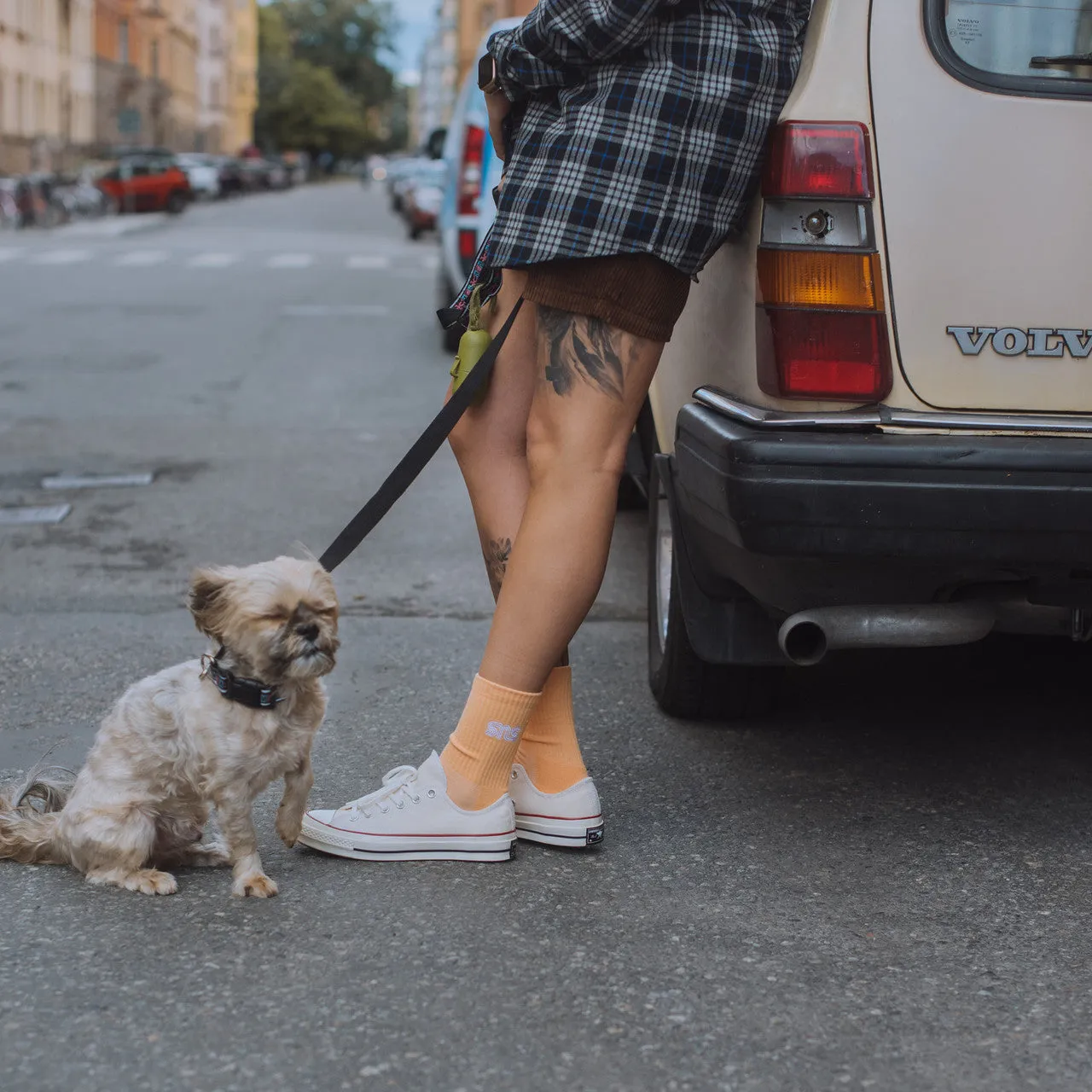 Chuck Taylor 70 Ox Daily Utility