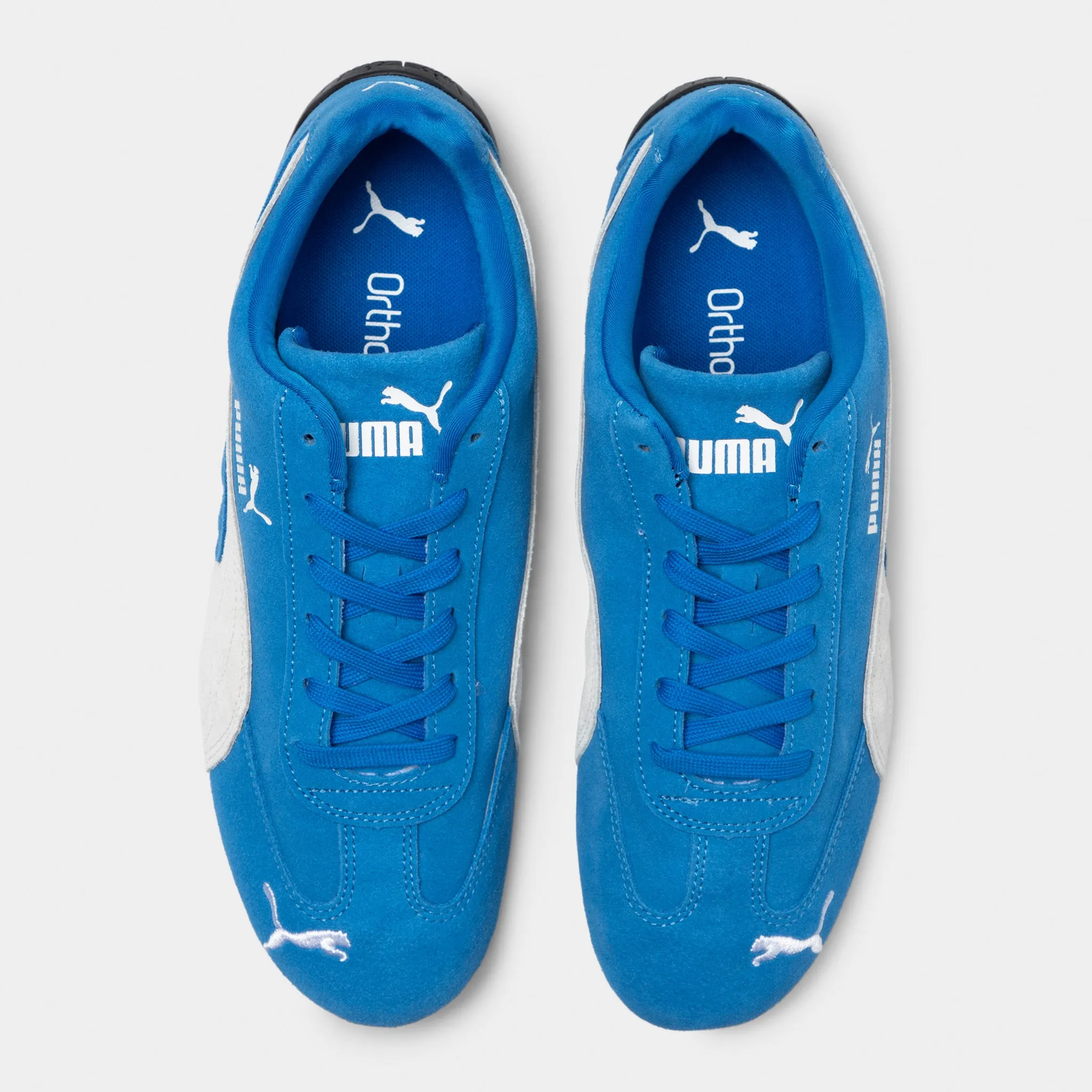 Daily Walk PUMA Speedcat OG Team Royal /  White
