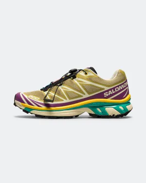 XT-6 - Antique Gold/Transparent Yellow-Willowherb Basic Fit