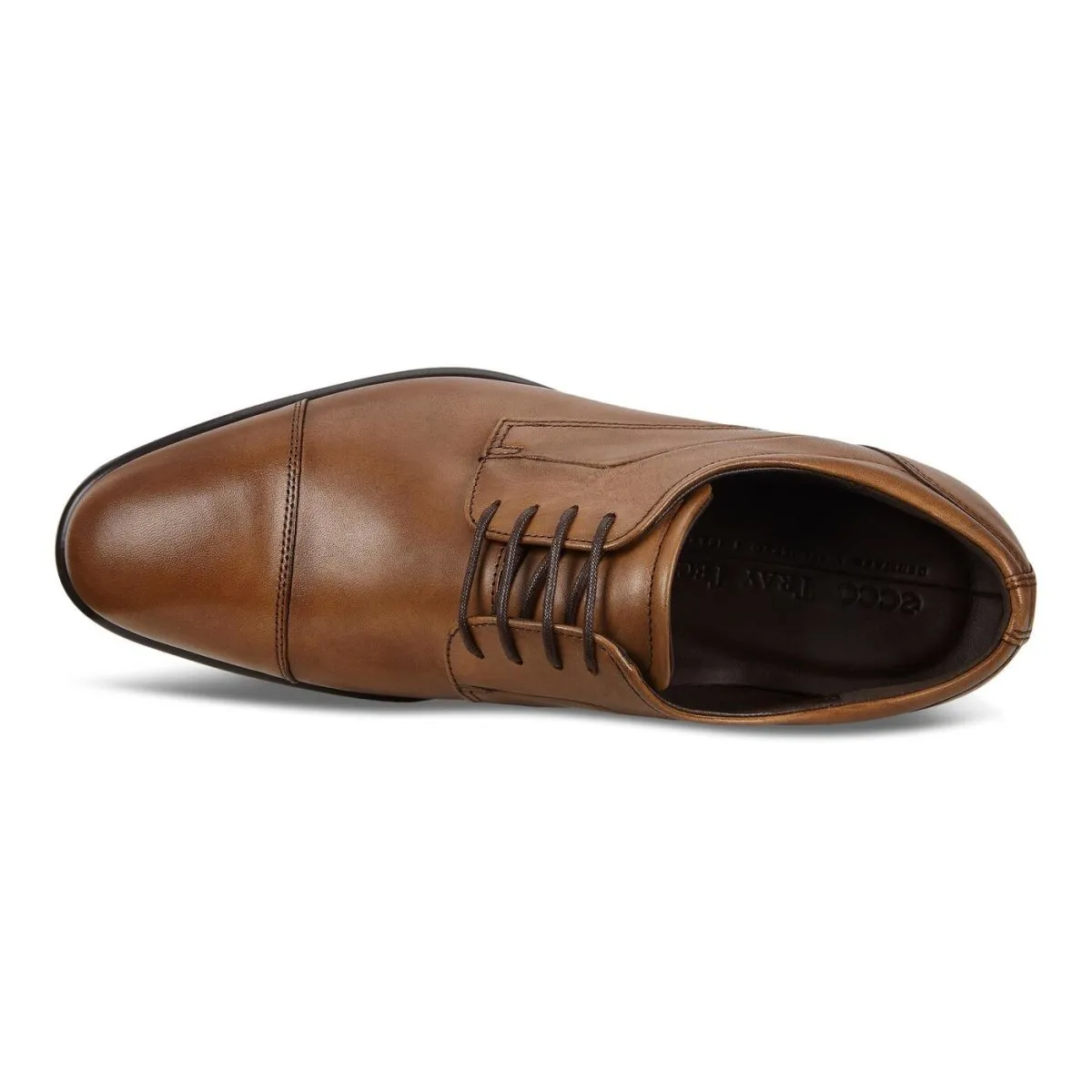 Wind Proof Prestige Circle ECCO Men's City Tray Cap Toe Tie Brown