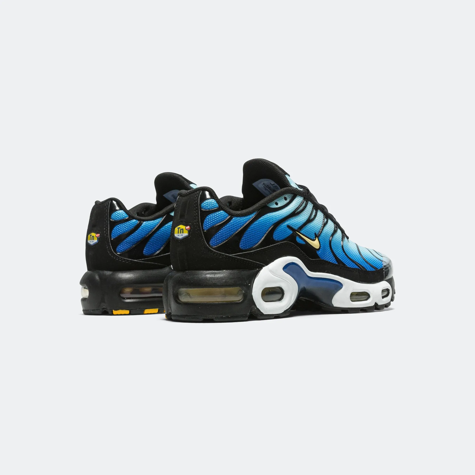 Air Max Plus (GS) - Black/Chamois-Sky Blue-Hyper Blue Designer Sneakers