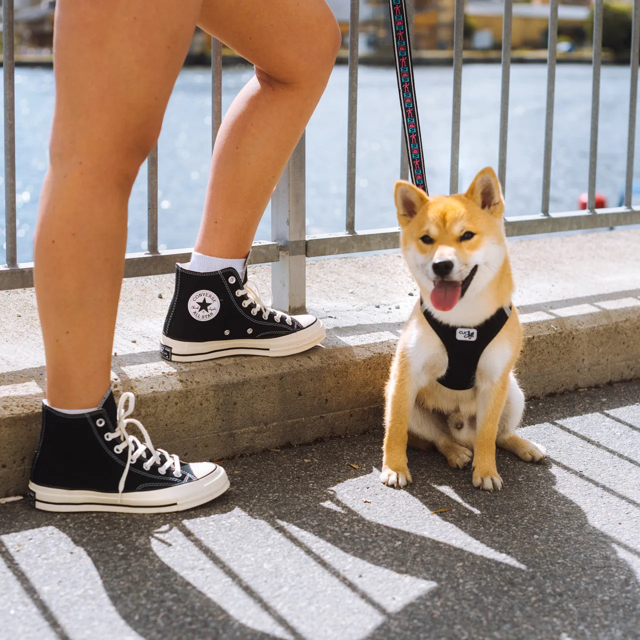 Chuck Taylor 70 Hi Flex Notch Performance Fit