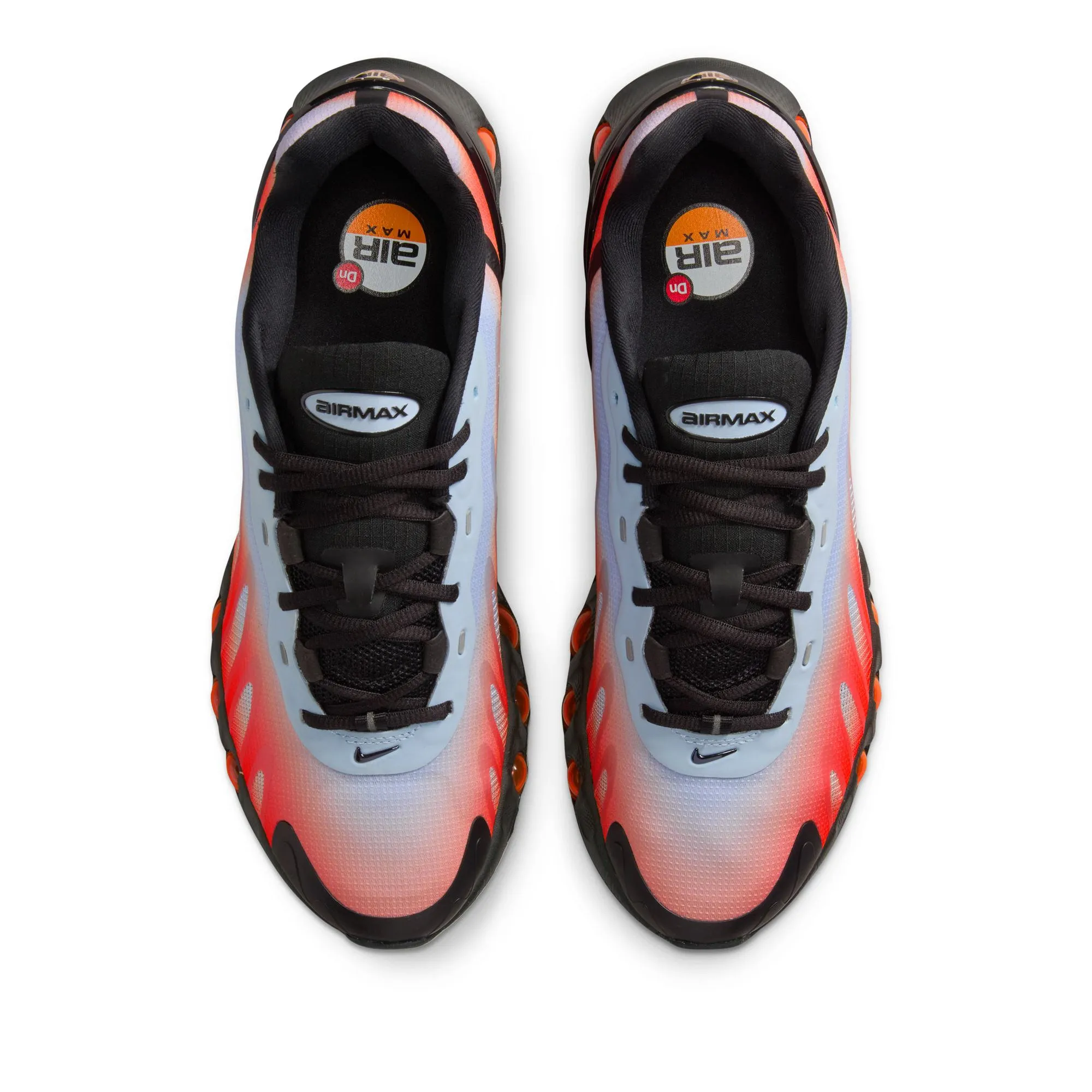 Quick lace Nike Air Max DN8 - Royal Tint/Black