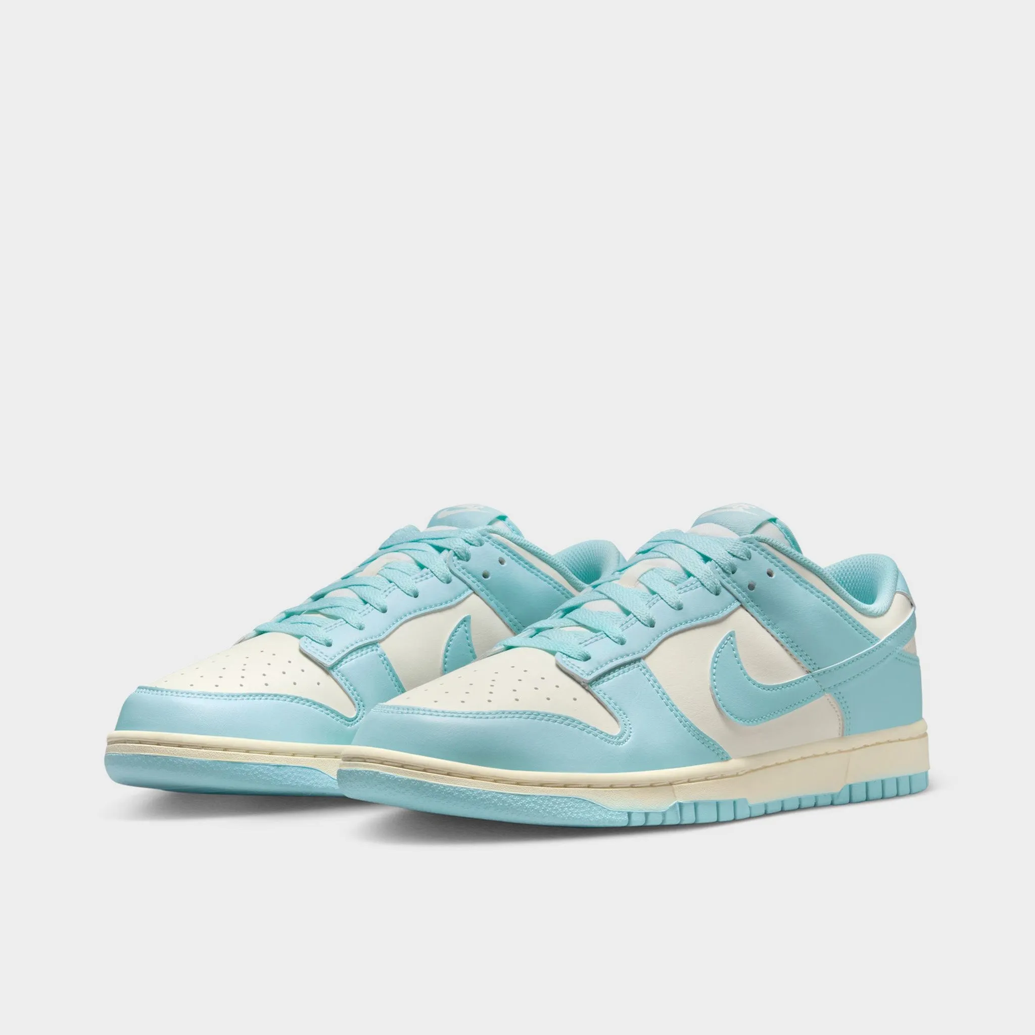 Nike Dunk Low Retro Pale Ivory / Glacier Blue Ice Guard