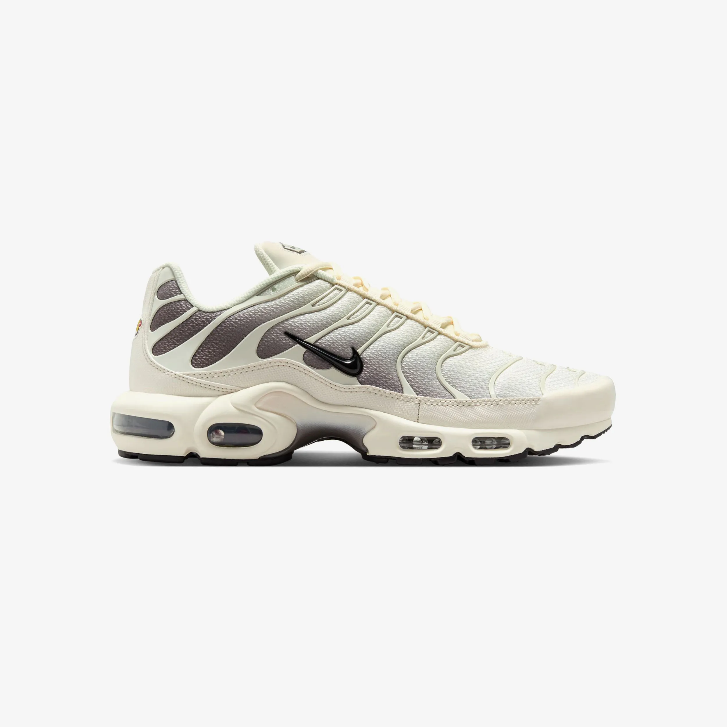 Air Max Plus Street Ready Basketball
