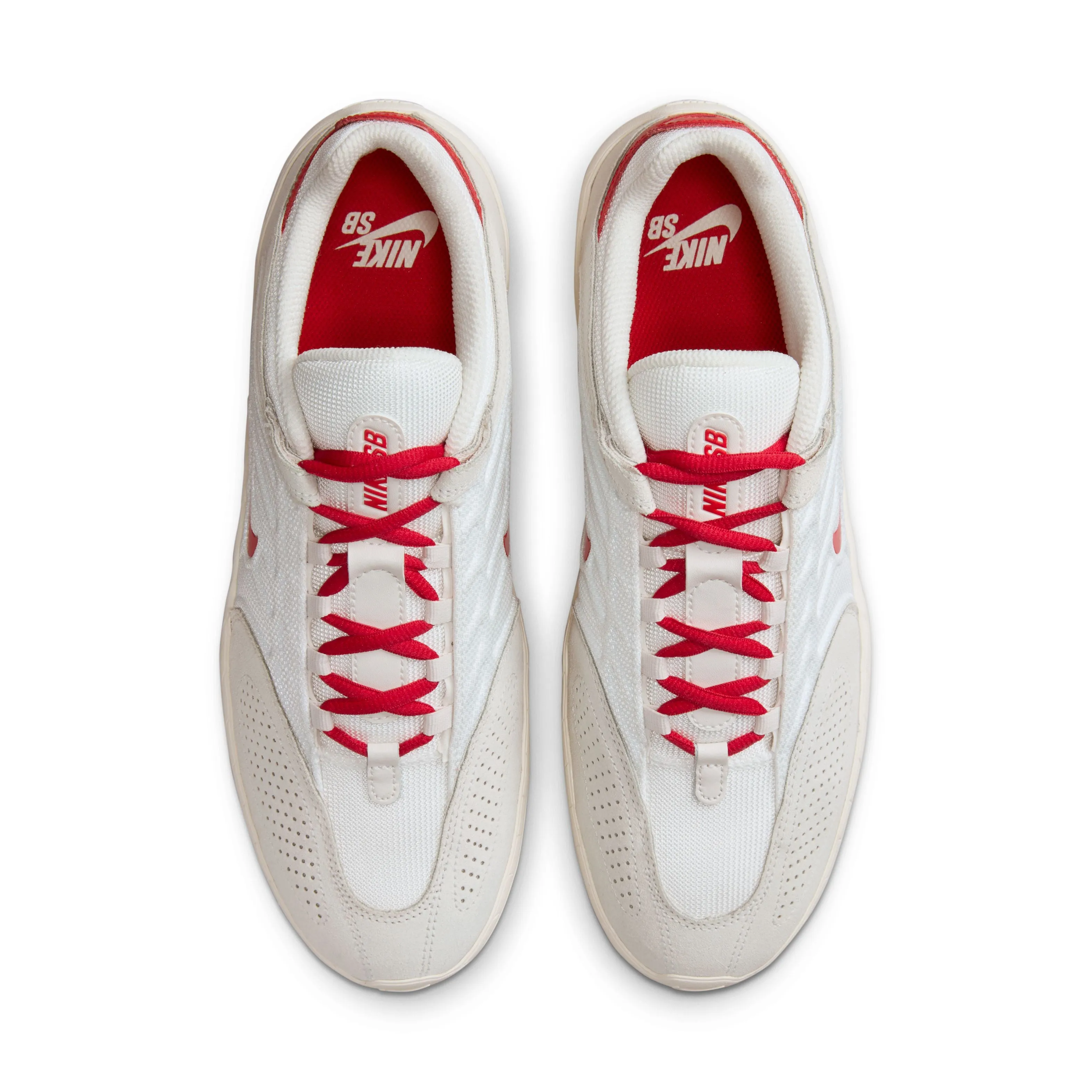 SB Vertebrae 'Summit White Red' Spring Bloom