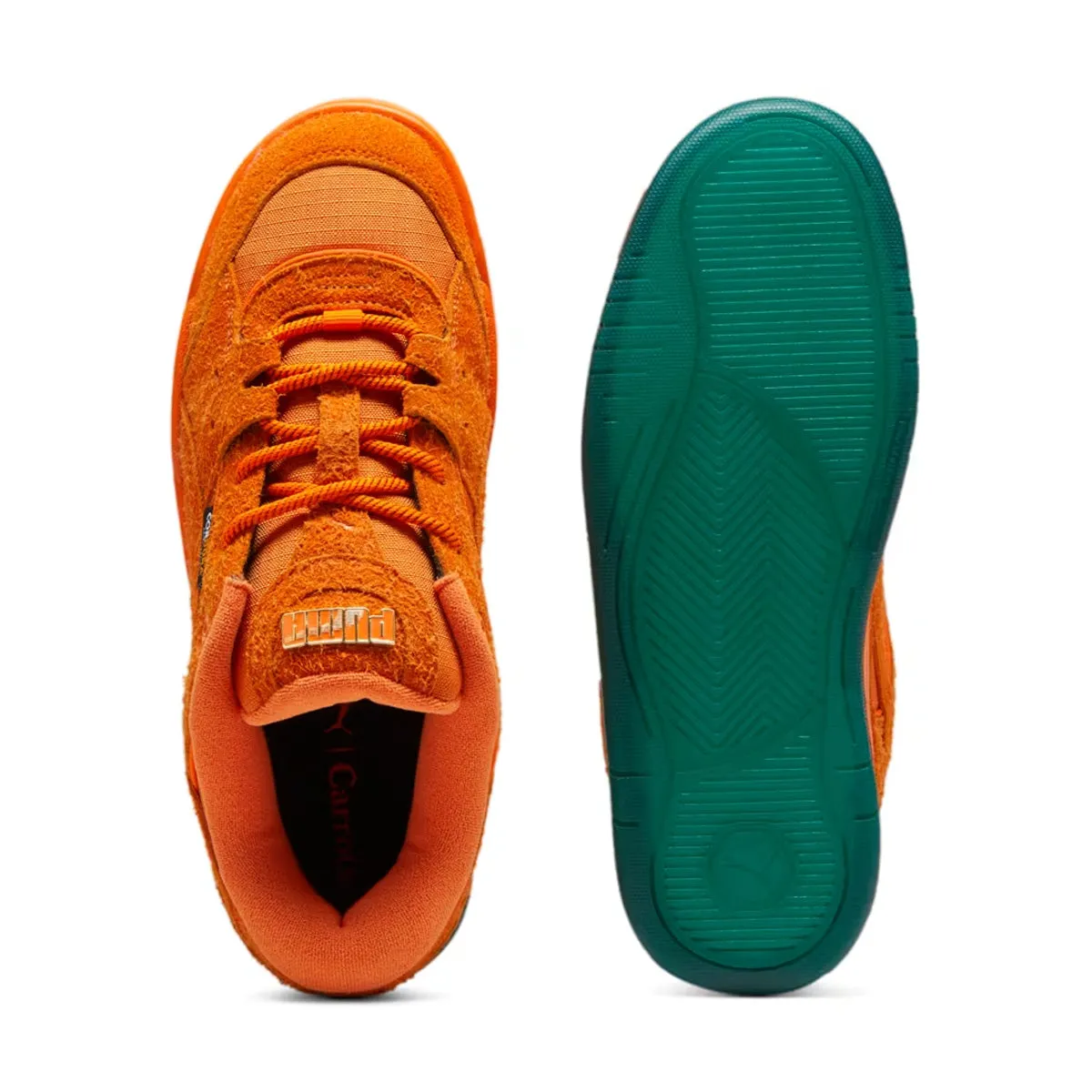 Day Long Kind Step   Carrots 180 'Rickie Orange'