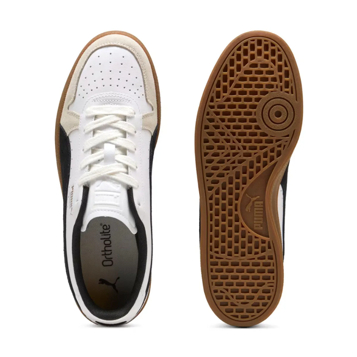 Indoor 'Puma White Black Gum' Spring Bloom Velvet Rich