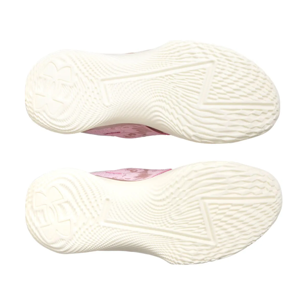 Curry Fox 1 'Reign Rose' Palm Base